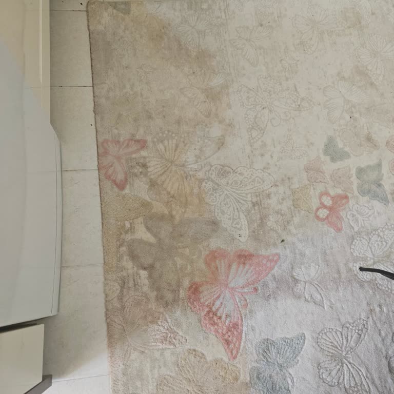 Arızalı Su Arıtma Cihazı Ve Yetersiz Servis Desteği Nedeniyle Mağduriyet