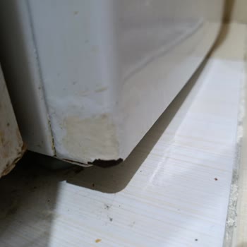 Bosch Çamaşır Makinesinde Garanti Süresinde Paslanma Sorunu