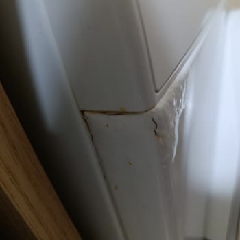 Bosch Çamaşır Makinesinde Garanti Süresinde Paslanma Sorunu