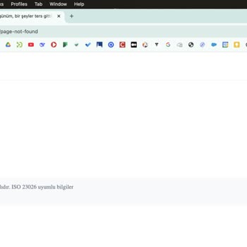 VFS Global İstanbul Ofisi Üzerinden Erasmus Vizesi Başvurusunda Sürekli Sistem Hatası Ve Destek Eksikliği