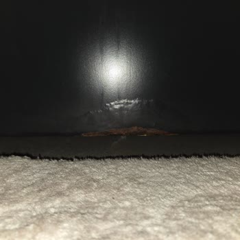 Yeni Alınan Beko Çamaşır Makinesinde Garanti Devam Ederken Ciddi Çürüme Ve Ücret Talebi