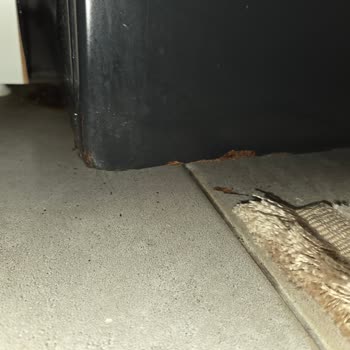 Yeni Alınan Beko Çamaşır Makinesinde Garanti Devam Ederken Ciddi Çürüme Ve Ücret Talebi