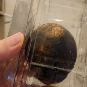 Aldığım Ürünün Karşılığını Alamadım, Müşteri Hizmetleri Yetersiz Kaldı