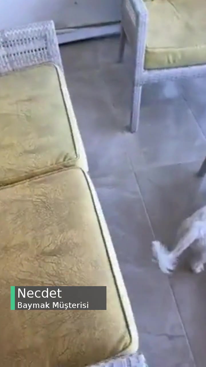 Milas Baymak Servisi Hüsranı! videonun kapak resmi