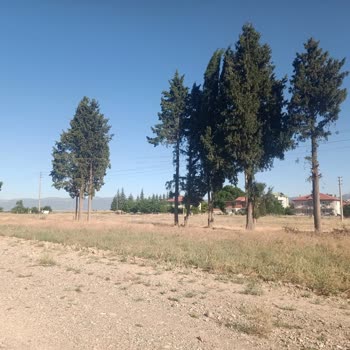 Elektrik Direği Ve Telleri Ev İnşaatımı Engelliyor, Mağduriyetim Giderilsin