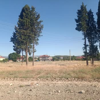 Elektrik Direği Ve Telleri Ev İnşaatımı Engelliyor, Mağduriyetim Giderilsin