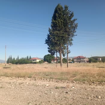 Elektrik Direği Ve Telleri Ev İnşaatımı Engelliyor, Mağduriyetim Giderilsin