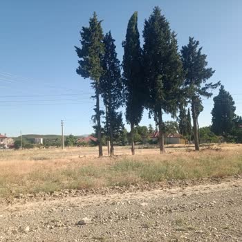 Elektrik Direği Ve Telleri Ev İnşaatımı Engelliyor, Mağduriyetim Giderilsin