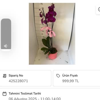 Teslim Edilmeyen Sipariş Ve Çözüm Sunulmayan Mağduriyet