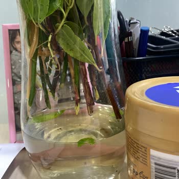 Görselden Farklı Ve Bayat Çiçek Gönderildi, Çözüm Sunulmadı