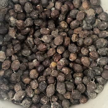 Aldığım Zeytin Bozuk Çıktı Firma Dönüş Yapmadı Ve Engellendim