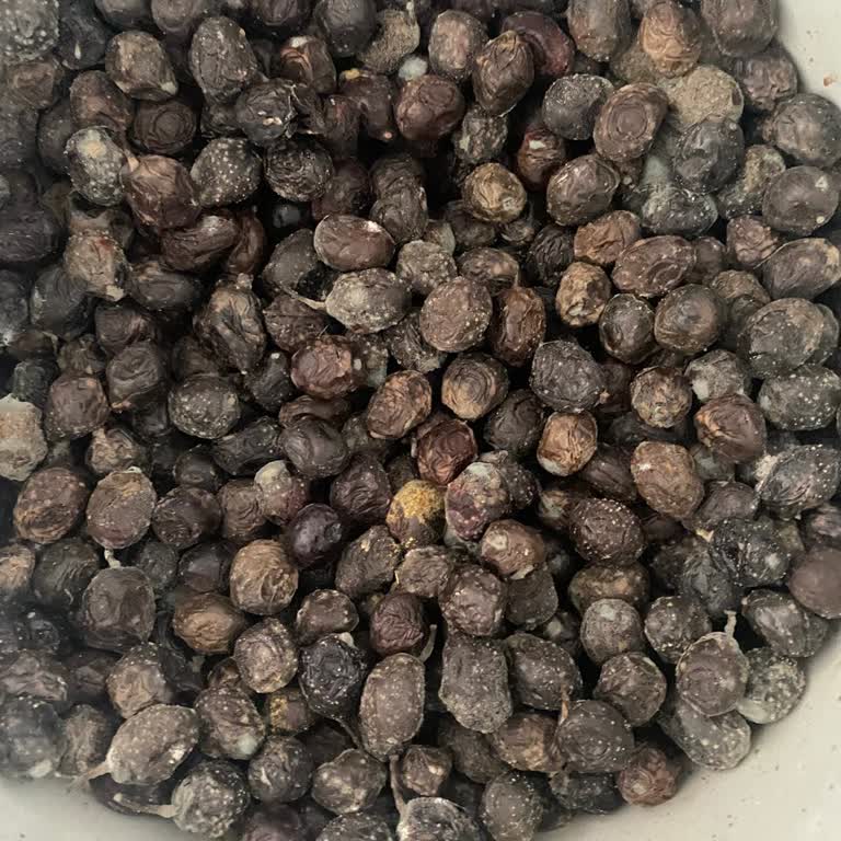 Aldığım Zeytin Bozuk Çıktı Firma Dönüş Yapmadı Ve Engellendim