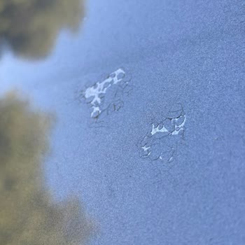 Sıfır Kilometre Skoda Octavia'da Fabrikasyon Boya Ve Vernik Hatası Mağduriyeti