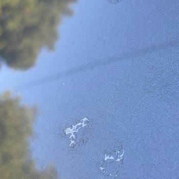 Sıfır Kilometre Skoda Octavia'da Fabrikasyon Boya Ve Vernik Hatası Mağduriyeti