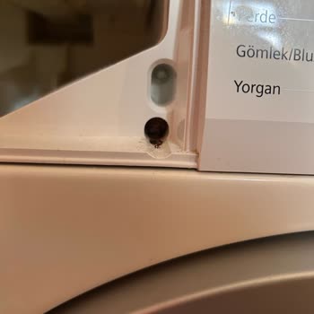 Siemens IQ 500 Çamaşır Makinesinde Garanti Sonrası Paslanma Ve Ücret Talebi Mağduriyeti