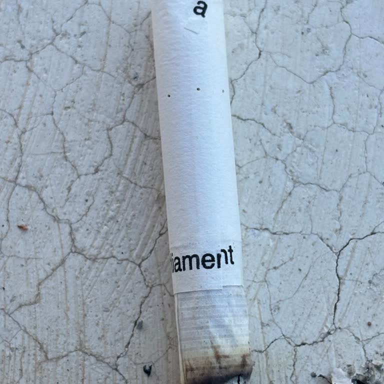 Parliament Night Blue Sigara Paketinde Baskı Hatası