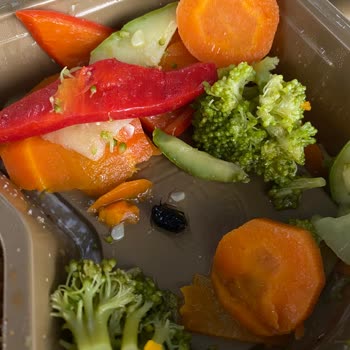 Siparişimde Böcek Çıkması Nedeniyle Yaşadığım Hijyen Sorunu Ve Endişelerim