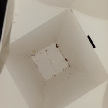 Godiva Çikolatadan Kurt Ve Kelebek Çıktı, Mağduriyetim Giderilmiyor