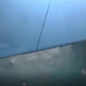 Asus Zenbook Mouse Sorunu Çözülmüyor, Garanti Dışı Bırakılmak İsteniyorum