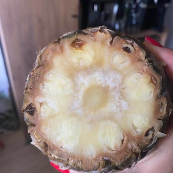 Migros Online Market’ten Bozuk Ananas Ve Yetersiz Müşteri Hizmeti Deneyimi