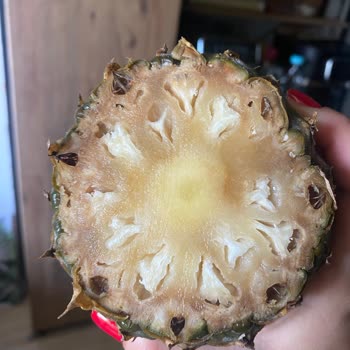 Migros Online Market’ten Bozuk Ananas Ve Yetersiz Müşteri Hizmeti Deneyimi