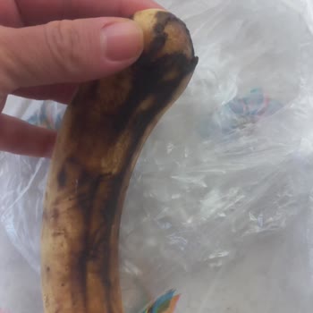 Migros Sanal Market'te Sürekli Eksik Ve Bozuk Ürün Sorunu