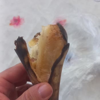 Migros Sanal Market'te Sürekli Eksik Ve Bozuk Ürün Sorunu