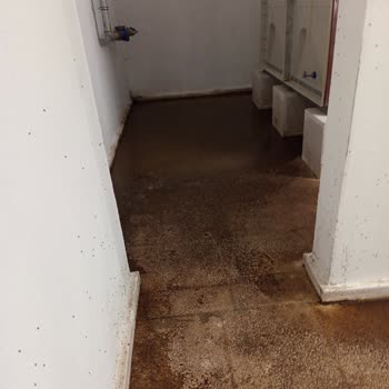 Bodrum Katta Tuvalet Gideri Tıkanıklığı Nedeniyle Yaşanan Koku Ve Hijyen Sorunu Çözülemiyor