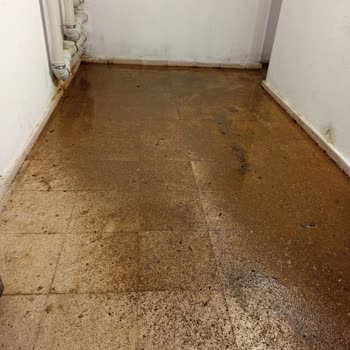 Bodrum Katta Tuvalet Gideri Tıkanıklığı Nedeniyle Yaşanan Koku Ve Hijyen Sorunu Çözülemiyor