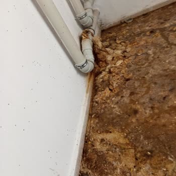 Bodrum Katta Tuvalet Gideri Tıkanıklığı Nedeniyle Yaşanan Koku Ve Hijyen Sorunu Çözülemiyor