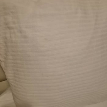 ETS Tur Rezervasyonunda Hijyen Sorunları Ve Eksik Ücret İadesi Mağduriyeti