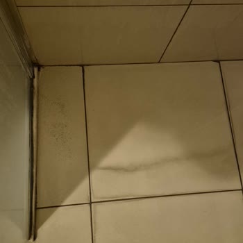 ETS Tur Rezervasyonunda Hijyen Sorunları Ve Eksik Ücret İadesi Mağduriyeti