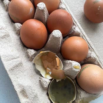 Organik Yumurtaların Bozuk Ve Küflü Teslim Edilmesi Nedeniyle Bebeğimin Sağlığı Riske Atıldı