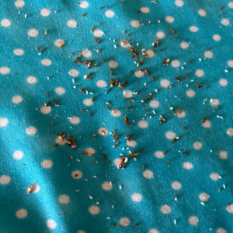 Sıfır Alınan Ütüden Kireç Ve Pas Çıkması, Teknik Servisten Olumsuz Yaklaşım