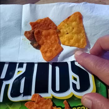 Patos Cips İçinden Yabancı Cisim Ve Aşırı Tuz Çıkması, Müşteri Hizmetlerine Ulaşılamaması