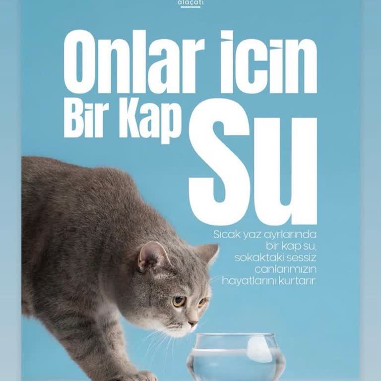 Bir Gündür İnternet Yok, Müşteri Hizmetlerine Ulaşamıyorum