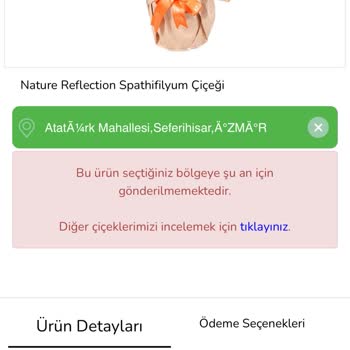 Canlı Çiçek Siparişim Gecikti, Ürün Zarar Görebilir