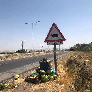 Gevaş Belediyesi Mahallemizde Çöp Sorunu Ve Yetersiz Temizlik Hizmeti