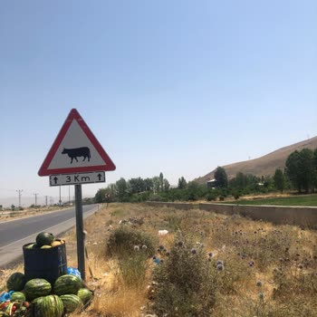 Gevaş Belediyesi Mahallemizde Çöp Sorunu Ve Yetersiz Temizlik Hizmeti