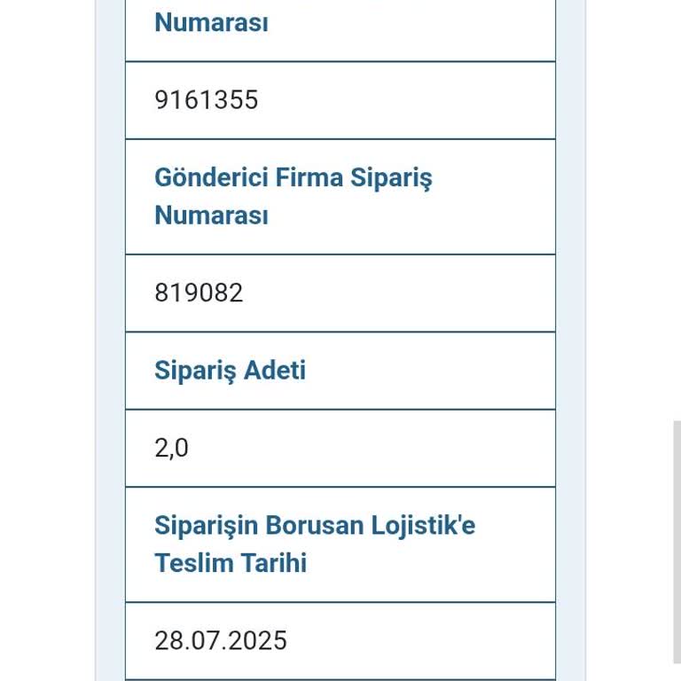 Borusan Lojistik Tarafından Teslim Edilmeyen Kargo Nedeniyle Mağduriyet