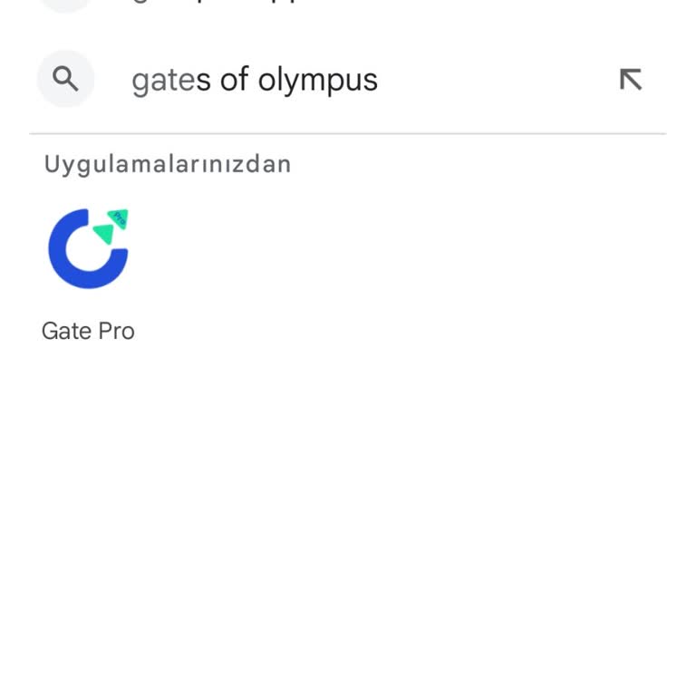 Gate Pro Hesabıma Erişemiyorum, 1200 USDT'me Ulaşamıyorum