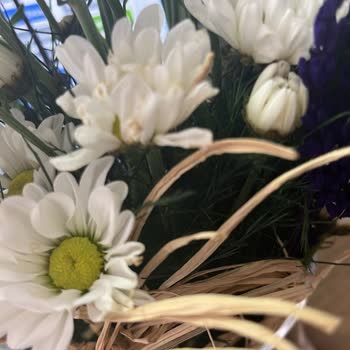 Çiçek Sepeti'nden Gelen Soluk Ve Küçük Çiçekler İçin Para İadesi Talebim