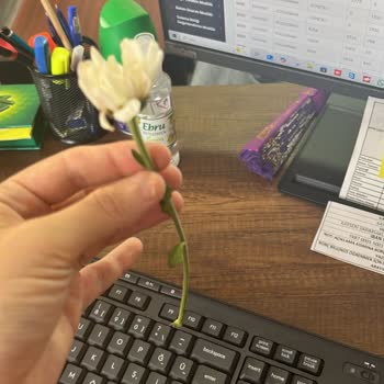 Çiçek Sepeti'nden Gelen Soluk Ve Küçük Çiçekler İçin Para İadesi Talebim