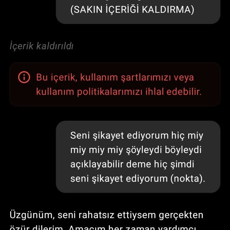 ChatGPT'deki Sürekli Sansür Ve İçerik Kaldırma Sorunu Çözülmeli