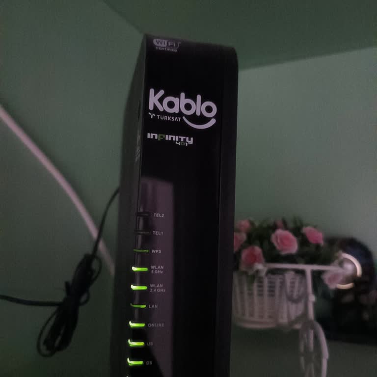 Sürekli Bağlantı Kesintisi Ve Yetersiz Müşteri Desteği