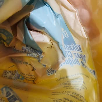 Aldığım Tam Buğday Gevreğinde Solucan Ve Böcek Çıktı, Markadan Dönüş Alamadım