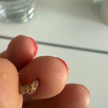 THY Uçuşunda Sandviçten Çıkan Sert Cisim Endişe Yarattı