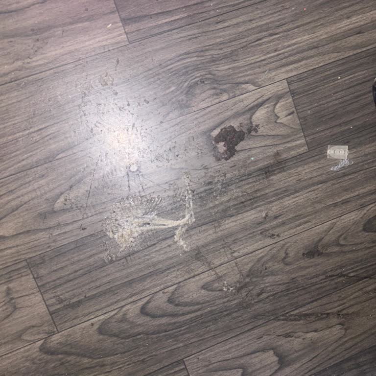 Islak Ve Kötü Kokulu Koltuklarda Hijyensiz, İlgisiz Ve Zor Bir Otobüs Yolculuğu