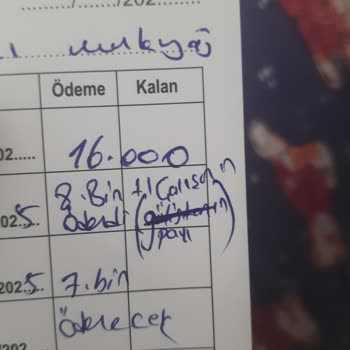 Bilgilendirme Eksikliği Ve Sonuçsuz İşlemler Nedeniyle Ücret İadesi Talebi