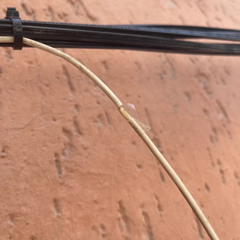 TurkNet'te Sürekli Kesilen İnternet Ve Yetersiz Destek